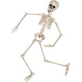 thumbnail image 3 of Posable Halloween Skeleton- Full Body Halloween Skeleton with Movable/Posable Joints for Best Halloween Decoration-20 inch, 3 of 6