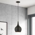 thumbnail image 6 of 49016-04 Livex Lighting Andes - 1 Light Mini Pendant In Urban Style-19.5 Inches Tall and 7.75 Inches Wide-Black/Antique Brass Finish    -Traditional, 6 of 11