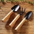 thumbnail image 3 of Hongchun Black 3 pcs Set Mini Flower Pot Tools Claw Garden Tools with Wooden Handles, 3 of 5