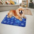 thumbnail image 2 of Gel-Filled Cooling Pad for Pets – Summer Comfort Mat with Water Refill, Portable & Durable Design for Dogs & Cats, M Size 40x50cm, Deep Blue Snowflake Pattern, 2 of 7