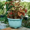 thumbnail image 4 of Flower Pot Nice-looking Fashion Lightweight Plastic Flower Vegetable Planters Pot With Tray For Home, 4 of 5