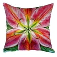 thumbnail image 2 of Betsy Drake NC701 Coussin Sans Cordon 18 x 18 Po Lys Rose, 2 of 4