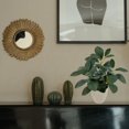 thumbnail image 2 of Mainstays 11in Indoor Artificial Plant in Pot, Green Peperomia., 2 of 5