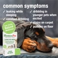thumbnail image 3 of HomeoPet LEAKS NO MORE Urinary Health Support Drops for Pets, 15 mL, 3 of 8