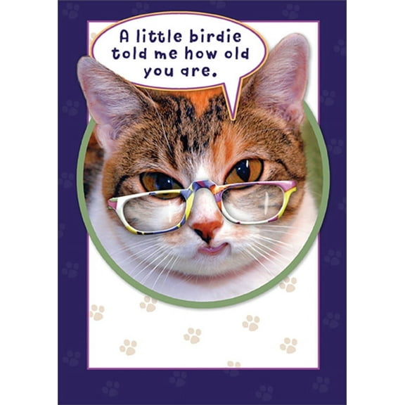 RSVP A Little Birdie Told Me : Cat with Colorful Glasses Funny / Humorous Birthday Card