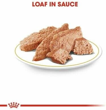 Royal Canin Dachshund Dog Wet Food 12x85g