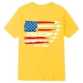 thumbnail image 4 of Huowey Casual Graphic Tee For Boys Kids Independence Day Celebrate 250 Years Tops Short Sleeve Round Neck Lightweight Comfortable Basic Tees Fashionable 1776-2026 Anniversary Tshirts,2-3 Years, 4 of 4