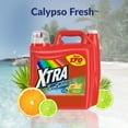 Xtra Liquid Laundry Detergent, Calypso Fresh, 255oz