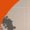 Safety Orange, variant on Howling Wolf Forest Inside Tee Men's -Image by Shutterstock