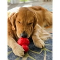 thumbnail image 3 of Nylabone Strong Chew Rubber Stuffable Cone Dog Treat Toy Bacon Red Large (1 Count), 3 of 14
