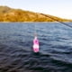 thumbnail image 5 of Señuelo de pesca de sapos de simulación, conversión de forma de sapos, señuelo de pesca Artificial, cebo, diseño de última generación, 5 of 8