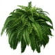 thumbnail image 2 of Plantas verdes de helechos artificiales realistas, 2 of 6