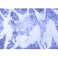 thumbnail image 1 of Ahgly Company Indoor Rectangle Abstract Blue Modern Area Rugs, 4' x 6', 1 of 4