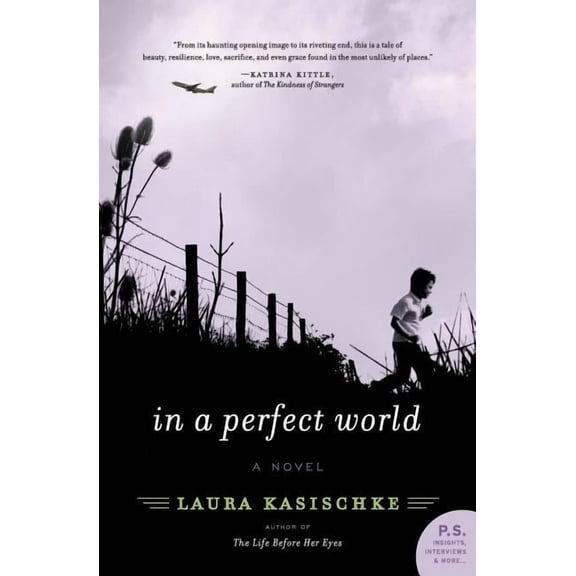 In a Perfect World, (Paperback)