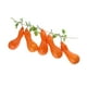 thumbnail image 5 of 1 Manojo Artificiales Simulación de Alimentos Decoración Decoración Artesanal para Hogar - Calabaza larga Yotijar Vegetal artificial, 5 of 9