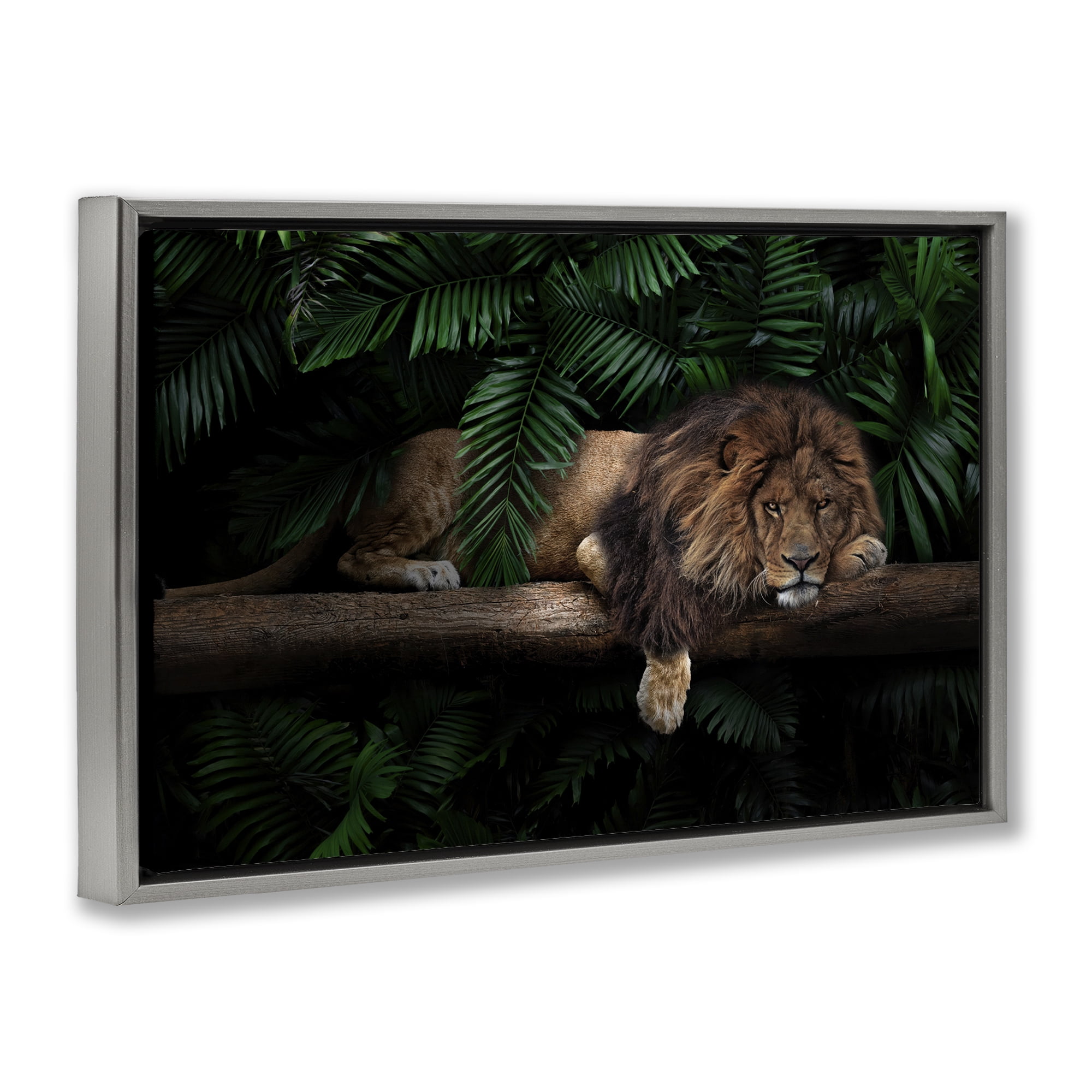 Stupell Industries Lion on Tropical Branch Animals Painting Gray Floater Framed Canvas Art Print Wall Art, 31 x 21