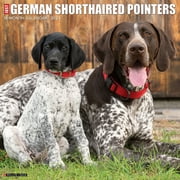 Just German Shorthaired Pointers 2024 12 X 12 Wall Calendar (Other)