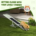 thumbnail image 5 of PawHut Wooden Dog Agility Seesaw for Training and Exercise, White, 5 of 9
