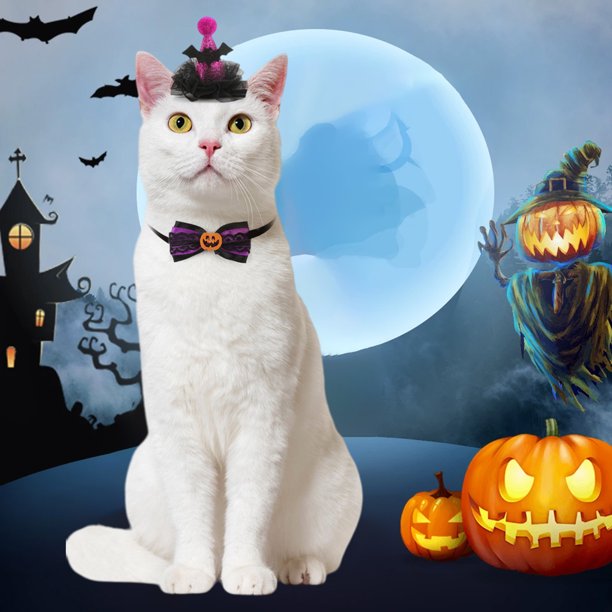 Ropa De Poliéster Para Mascotas Disfraz de sombrero de bruja para mascotas, ajustable, para gatos y perros, para fiesta de Halloween, con collar JASKFLY