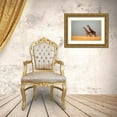 thumbnail image 3 of Anonymous 24x17 Gold Ornate Wood Framed with Double Matting Museum Art Print Titled - African Skies II, 3 of 4