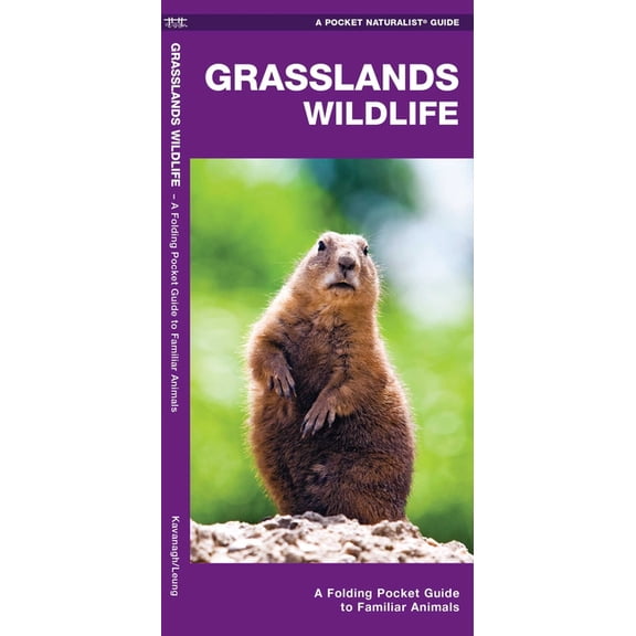 Wildlife and Nature Identification: Grasslands Wildlife : An Introduction to Familiar Species Found in Prairie Grasslands (Other)