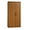 Sienna Oak, variant on Pemberly Row Contemporary 2-Door Engineered Wood Storage Cabinet in White