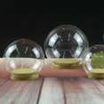 thumbnail image 3 of Display with Cork Base Decorative Protective Stand Birthday Cloche Dome 15cmx15cmx15cm, 3 of 9