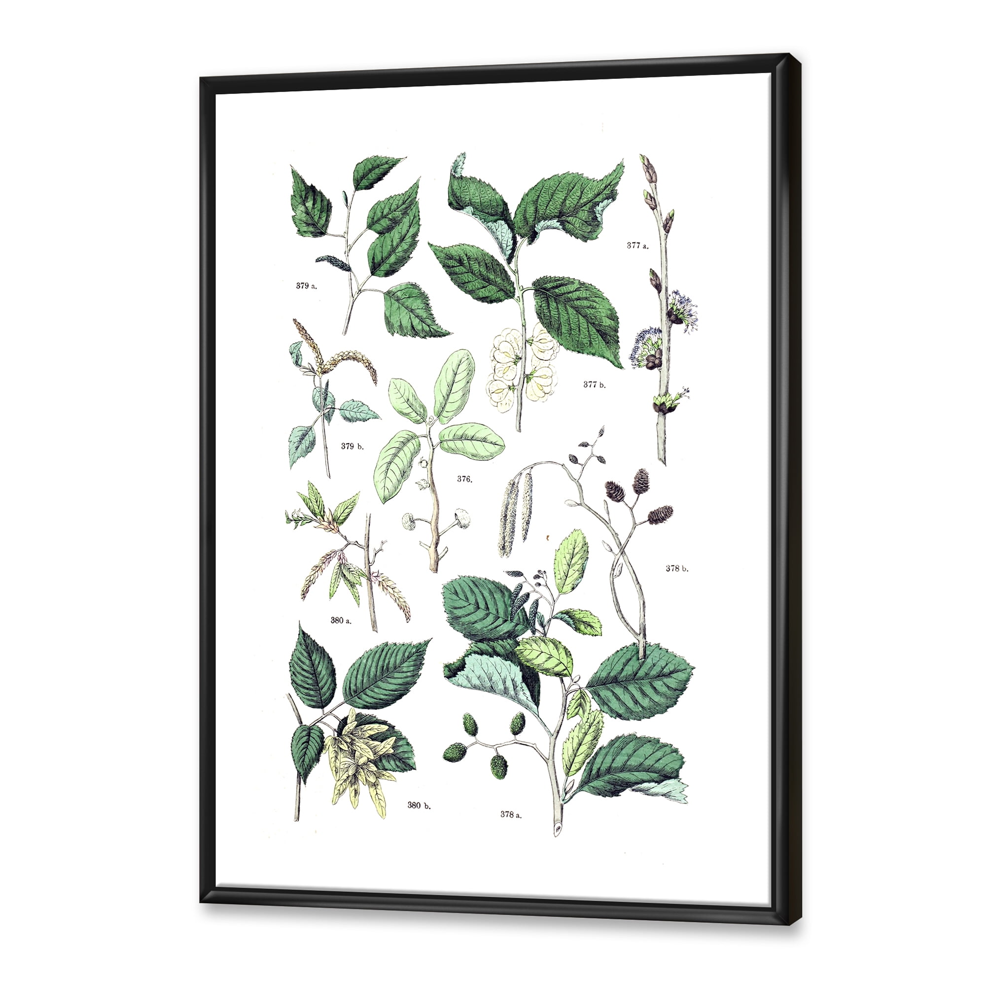 Designart 'Ancient Botanicals VIII' Traditional Framed Canvas Wall Art Print