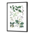 thumbnail image 3 of Ancient Botanicals VIII 16 in x 32 in Framed Painting Canvas Art Print, by Designart, 3 of 5