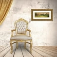 thumbnail image 3 of Deiter, Lori 32x13 Gold Ornate Wood Framed with Double Matting Museum Art Print Titled - Good Grazing, 3 of 4