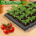 thumbnail image 2 of Gardzen Paquete de 10 Bandejas para Semillas de 32 Celdas, Bandeja Profunda de 5 cm para Plántulas, Bandejas Resistentes con Orificios de Drenaje, Compatible con Bandeja Estándar 1020, 2 of 6