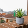thumbnail image 4 of unbranded 200Ud Etiquetas Colgantes Para Plantas Y Vegetales Con Material Plástico Duradero Para Jardinería, 4 of 6