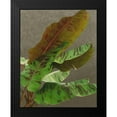 thumbnail image 2 of Zarris, Charliklia 20x24 Black Modern Framed Museum Art Print Titled - Non-Embellished Dramatic Leaves IV, 2 of 5