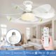 thumbnail image 4 of Ventilador de techo con enchufe de 40 W y luz, ventiladores de techo con tornillo de 20,5 pulgadas con LED y control remoto para dormitorio, garaje y cocina, 4 of 5