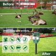 thumbnail image 3 of X-PEST Ultrasonic Squirrel Repeller Device, Waterproof Solar Animal Repeller with Motion Activated and Blinking LED Light, 4 Pack, 3 of 12
