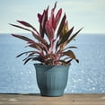 thumbnail image 2 of Bloem Colonnade Wood Resin Planter 16 in. Forest Green, 2 of 4