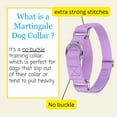 thumbnail image 4 of Country Brook Petz® Martingale Dog Collar - Training Collar with No Buckle (Lavender, 3XS), 4 of 5
