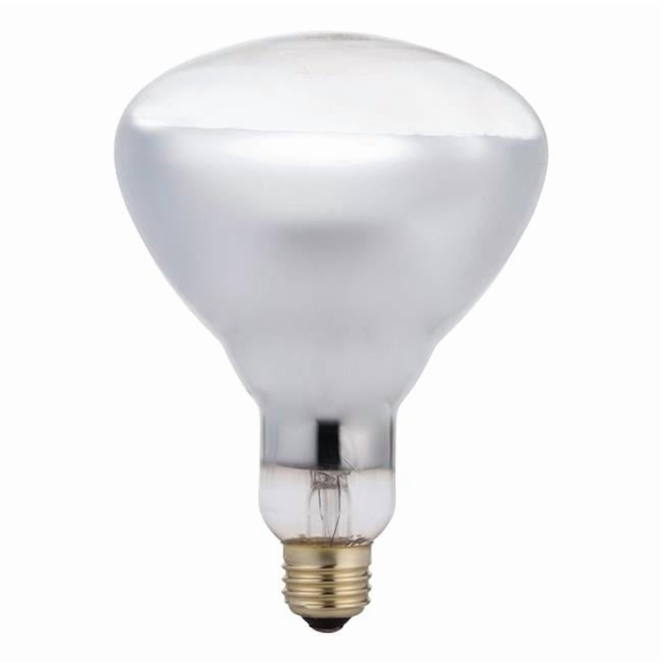 WESTINGHOUSE 1PK 125W R40 CLR Lamp