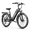 Black, variant on Aipas C1 Max 24" Electric Mountain Bike,500W Peak Motor, 48V 18Ah Removable Battery, 500LB Capacity, SGS UL 2849 Certification, Class 3