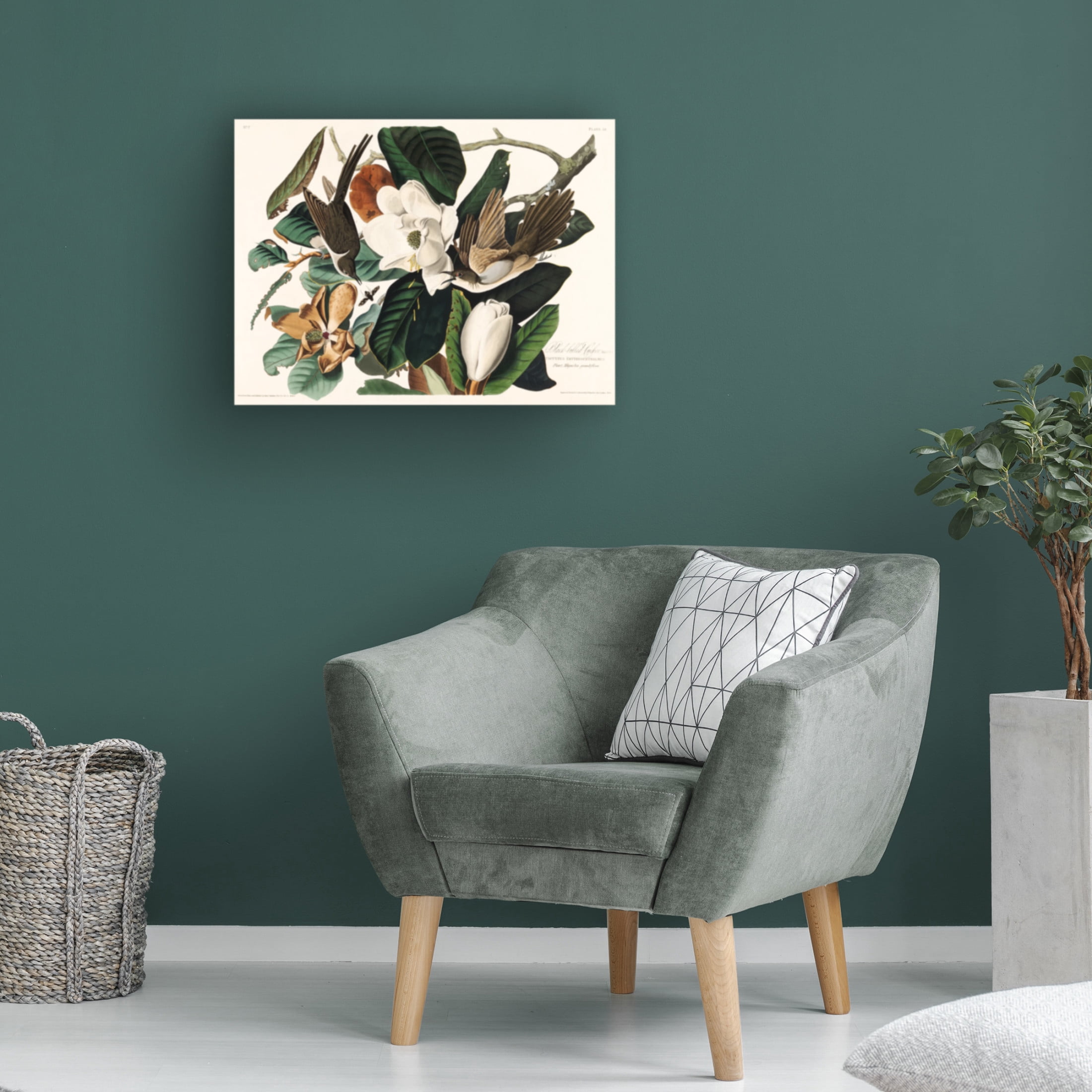 Trademark Fine Art Pictufy Black Billed Cuckoo From Birds of America 1827 Canvas Wall Art