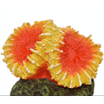 thumbnail image 3 of Komodo Orange and Yellow Starburst Coral Aquarium Decor, 3 of 8