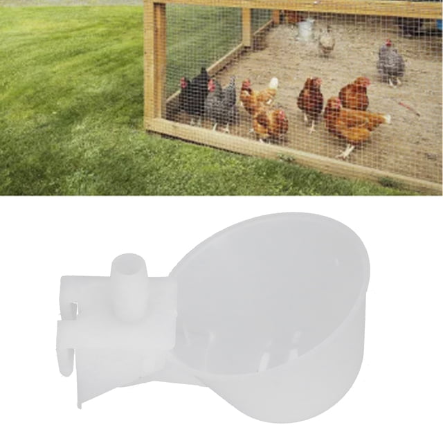 Taza Para Beber De Pollo, Bebedero Automático Para Aves De Corral Para Granja Para Exteriores