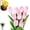 (Pink,10), variant on 10/15 Pc Twinkling Tree Tulips, Radiant Romantic Tulip Light, Flowers Decorative Mood Decorative Lamps, for Bedroom, Home Decor(Pink,10)