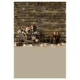 thumbnail image 1 of BSDHOME Polyester 5x7ft Christmas theme Photo Background Photography Backdrop Props, Sleighs, 1 of 3
