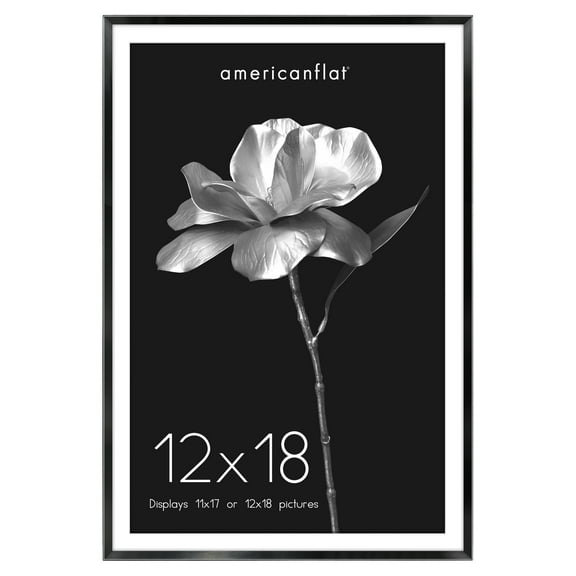 Americanflat 12x18 Poster Frame with Tempered Glass with 11x17 Mat Metal Display Photo Brooklyn Frames - Black