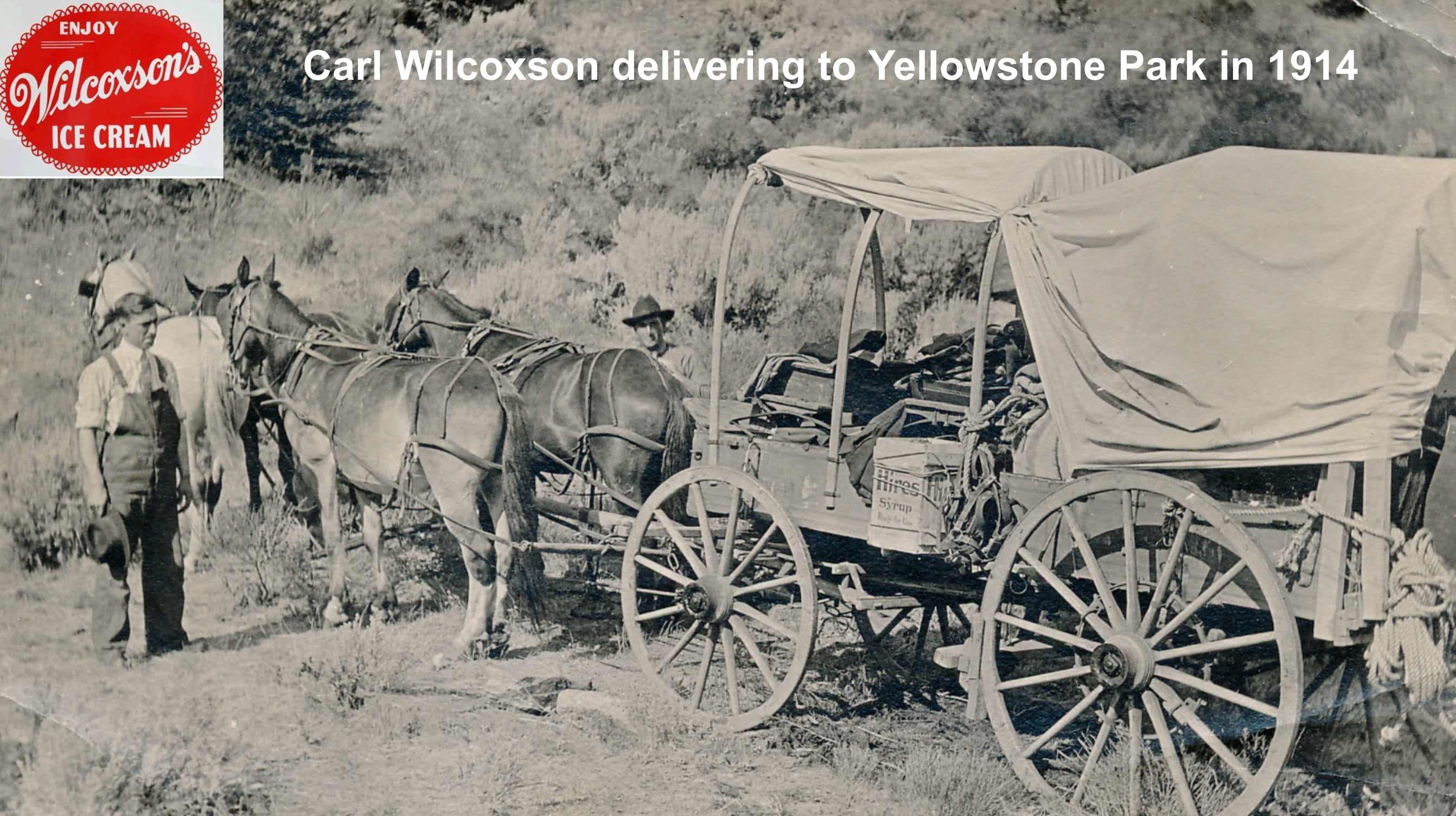 Wilcoxson's Huckleberry Ice Cream Sandwich