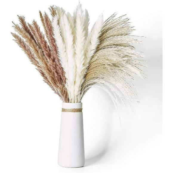 Dried Pampas Grass, 60 Pcs Natural Pampas Grass With 3 Colors