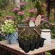 thumbnail image 4 of Macetas de vivero Bandejas de plantación reutilizables Adecuadas para flores Verduras Maceta de vivero, 4 of 5