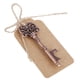 thumbnail image 4 of Abridor de Botellas Ticfox con Forma de Llave 12 Piezas Cobre, 4 of 12