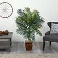 thumbnail image 4 of Nearly Natural 54" Golden Cane Palm with Decorative Container in Green/Brown, 4 of 5